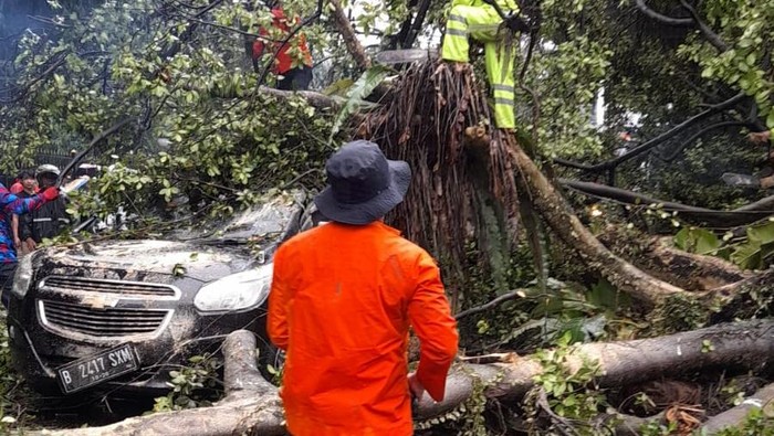 Pohon tumbang timpa motor dan mobil di Jalan Ir. H Juanda, Kota Bogor. (dok.Istimewa)