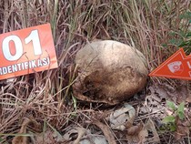 Hilang 10 Bulan, Pria Lansia Ditemukan Tinggal Tulang Belulang di Hutan TTU