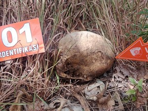 Hilang 10 Bulan, Pria Lansia Ditemukan Tinggal Tulang Belulang di Hutan TTU