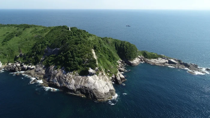 Pulau Ular di Brasil