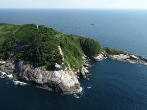 Horornya Pulau Ular yang Terlarang Dikunjungi Manusia