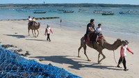 Wisatawan nusantara menikmati suasana pantai dengan menaiki unta pada liburan Idul Fitri di Pantai Kelan, Badung, Bali, Selasa (1/4/2025). 