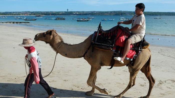 Serunya Wisata Naik Unta di Pinggir Pantai Bali Wisatawan nusantara menikmati suasana pantai dengan menaiki unta pada liburan Idul Fitri di Pantai Kelan, Badung, Bali, Selasa (1/4/2025). Pengelola wisata naik unta di pantai itu mengatakan pada liburan Idul Fitri 1446 Hijriah jumlah wisatawan nusantara yang menyewa wahana tersebut sekitar 60-70 orang per hari dengan harga sewa Rp150 ribu hingga Rp200 ribu sesuai durasi yang telah ditentukan. ANTARA FOTO/Nyoman Hendra Wibowo/nym.