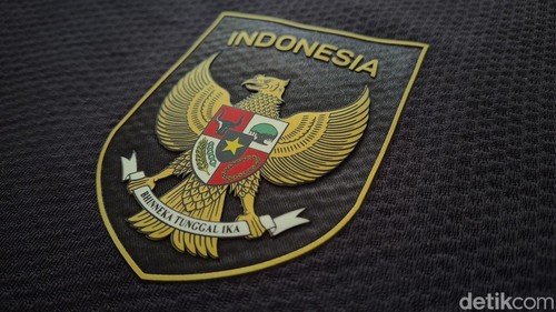 Skuad Garuda, Timnas Indonesia, Ilustrasi Timnas Indonesia