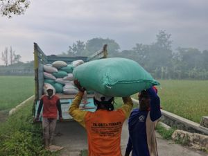 Bulog Mojokerto Gaspol Serap Gabah Petani Demi Jaga Harga Gabah Kering Panen