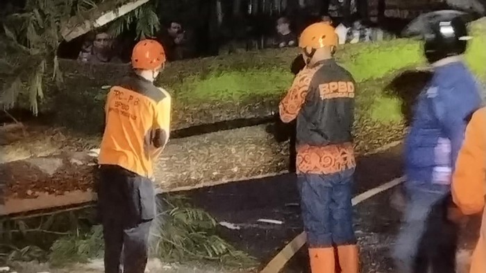 Evakuasi pohon tumbang yang tutup jalan Trenggalek-Ponorogo.