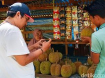 Pedagang Durian Raup Untung Besar di Momen Libur Lebaran