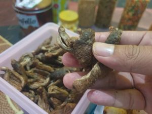 Kerupuk Terung dan Teripang, Jajanan Khas Nelayan Gresik Saat Lebaran
