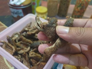 Kerupuk Terung dan Teripang, Jajanan Khas Nelayan Gresik Saat Lebaran