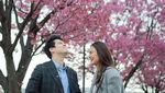 Indahnya Bunga Sakura Bermekaran Serupa Cinta Luna Maya yang Mekar di Jepang