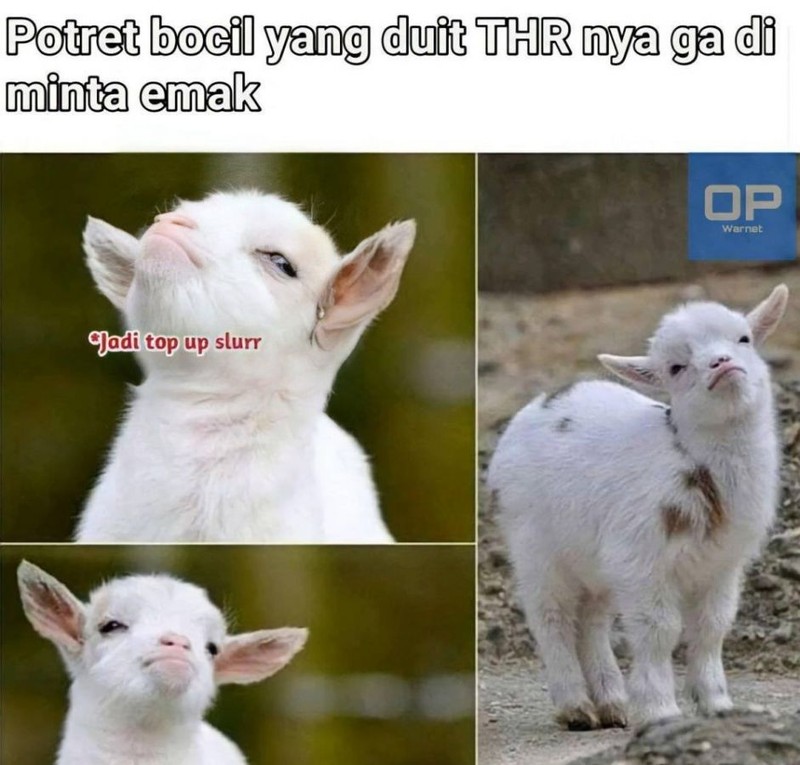 Lebaran sudah lewat nih, saatnya hitung uang THR yang didapat! Tapi kalau udah kerja sih bukannya dapet THR tapi malah ngeluarin, ya.