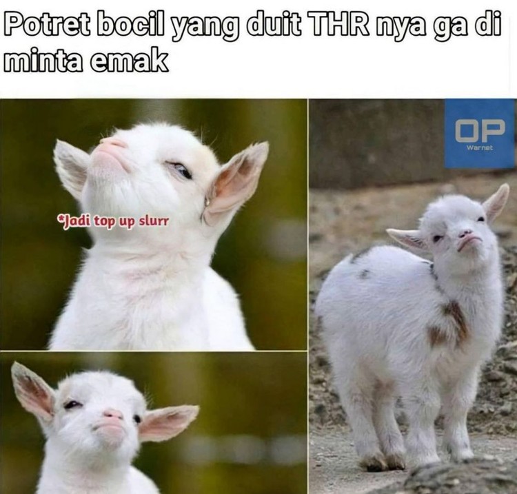 Meme Lebaran: Gimana Lur, THR Sudah Ludes Tak Bersisa? Lebaran sudah lewat nih, saatnya hitung uang THR yang didapat! Tapi kalau udah kerja sih bukannya dapet THR tapi malah ngeluarin, ya.