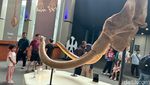 Museum Nasional Dipadati Pengunjung saat Libur Lebaran