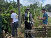 Sopir Kurang Konsentrasi, Agya Masuk Semak-semak di Muba