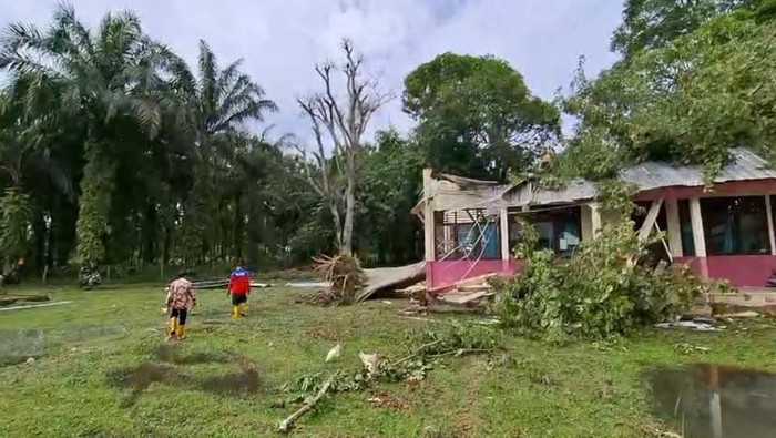 Ruangan kelas di SDN Pemulutan Barat, Ogan Ilir, tertimpa pohon tumbang