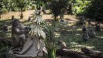 Merayakan Tradisi Nyadran di Goa Kreo Semarang