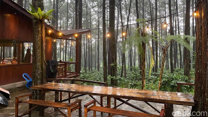 Gapura Cafe dan Resort Sidomulyo di Jalur Jember-Banyuwangi
