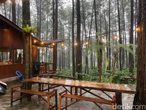 Gapura Cafe dan Resort Sidomulyo, Tempat Asri Pemudik Jalur Jember-Banyuwangi