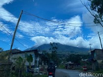 Pendaki Ilegal Marak di Tengah Penutupan Gunung Gede Pangrango
