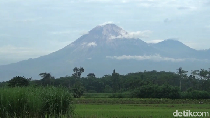Gunung Semeru di Lumajang kembali mengalami erupsi setinggi 900 meter