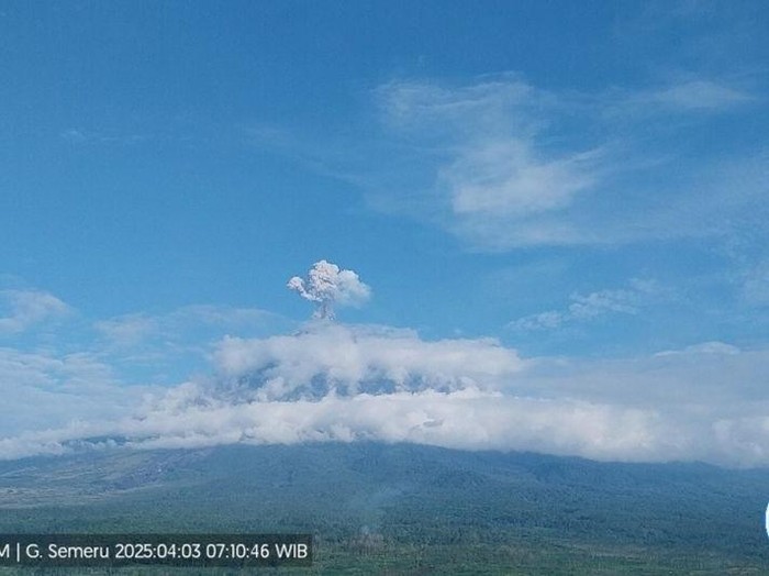 Gunung Semeru erupsi dengan letusan setinggi 900 meter di atas puncak pada Kamis (3/4/2025) pagi. (ANTARA/HO-PVMBG)