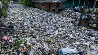Disamping itu juga menimbulkan bau tak sedap dan berpotensi menyebarkan penyakit. 