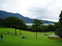 Harga Tiket Masuk Kebun Raya Bali Libur Lebaran 2025, Bisa Sewa Sepeda-Tenda