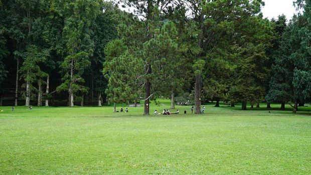 Kebun Raya Bali / Kebun Raya Bedugul. (Dok. Kebun Raya Bali)
