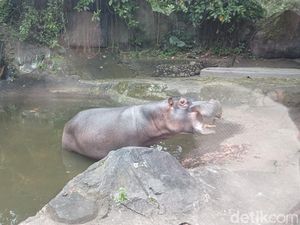 Wisatawan Turun di Area Terlarang, TSI: Melanggar Aturan!