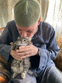 Bagi kalian yang sangat menyukai kucing, pasti suka dengan deretan foto menggemaskan ini. Kalau tidak percaya, lihat deh.