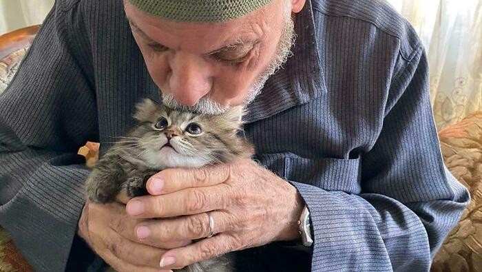 Bagi kalian yang sangat menyukai kucing, pasti suka dengan deretan foto menggemaskan ini. Kalau tidak percaya, lihat deh.