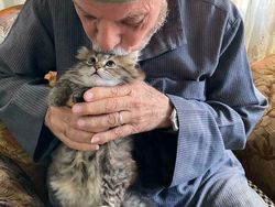 Pencinta Kucing Pasti Suka Lihat Foto-foto Menggemaskan Ini