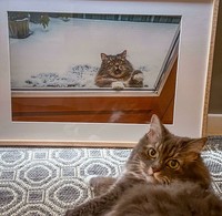 Bagi kalian yang sangat menyukai kucing, pasti suka dengan deretan foto menggemaskan ini. Kalau tidak percaya, lihat deh.