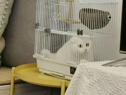 Pencinta Kucing Pasti Suka Lihat Foto-foto Menggemaskan Ini