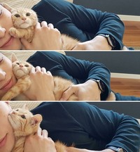 Bagi kalian yang sangat menyukai kucing, pasti suka dengan deretan foto menggemaskan ini. Kalau tidak percaya, lihat deh.