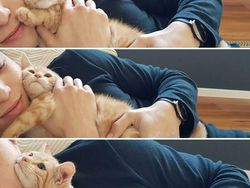 Pencinta Kucing Pasti Suka Lihat Foto-foto Menggemaskan Ini