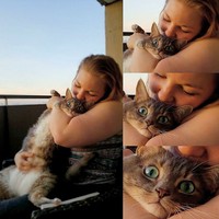 Bagi kalian yang sangat menyukai kucing, pasti suka dengan deretan foto menggemaskan ini. Kalau tidak percaya, lihat deh.