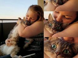 Pencinta Kucing Pasti Suka Lihat Foto-foto Menggemaskan Ini