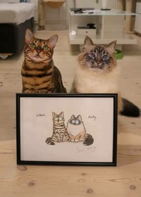 Bagi kalian yang sangat menyukai kucing, pasti suka dengan deretan foto menggemaskan ini. Kalau tidak percaya, lihat deh.