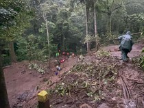 4 Destinasi Wisata Tahura R Soerjo Tutup Imbas Longsor Jalur Pacet-Cangar