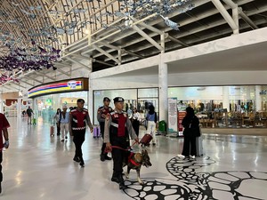 Cegah Kriminalitas, Polda Bali Siagakan Unit K9 di Bandara Ngurah Rai
