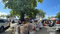 Setelah lelah bermain, wisatawan bisa berburu ragam oleh-oleh khas Pangandaran. Ada ikan asin hingga baju yang bisa dijadikan buah tangan untuk keluarga.