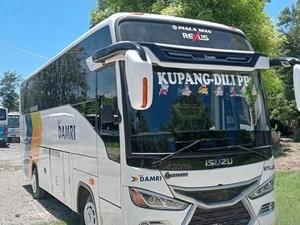 Damri Catat Lonjakan Penumpang 60% dari Timor Leste-Kupang Selama Lebaran