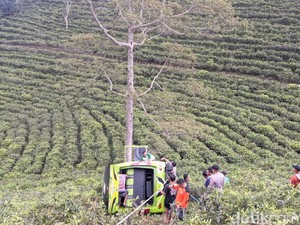 Elf Wisatawan Asal Gresik Terperosok ke Kebun Teh di Karanganyar