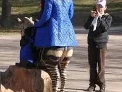 Awas Terkecoh dengan Deretan Foto Ini, Lihat Dua Kali Biar Tak Keliru