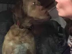 Awas Terkecoh dengan Deretan Foto Ini, Lihat Dua Kali Biar Tak Keliru