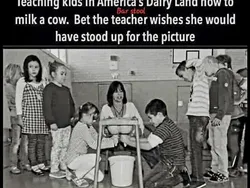 Awas Terkecoh dengan Deretan Foto Ini, Lihat Dua Kali Biar Tak Keliru