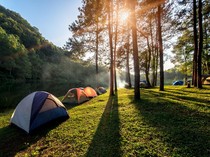 Liburan Berujung Duka: Wisatawan Cilik Tewas Tertimpa Pohon Pinus di Sekipan