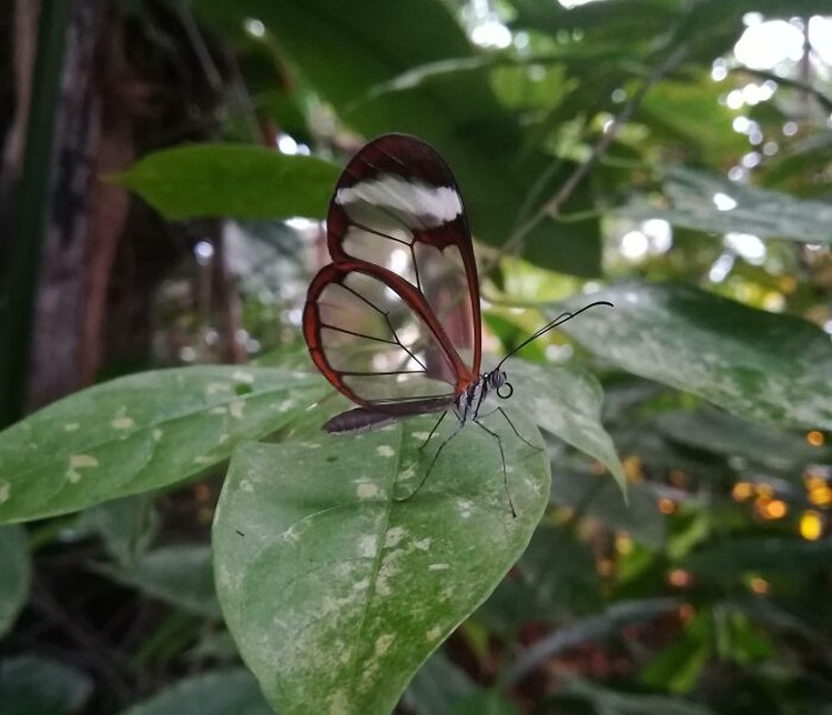 Ada banyak hal di dunia ini yang belum pernah kita saksikan. Ini dia beberapa contohnya.