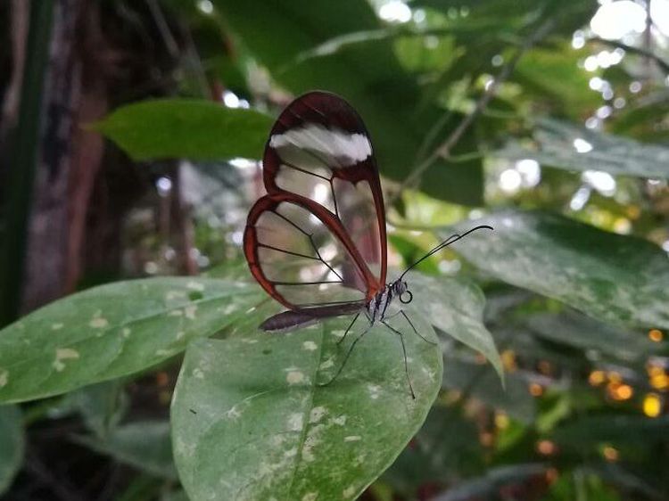 Kumpulan Foto yang Tak Disangka Benar-benar Ada, Unik Juga